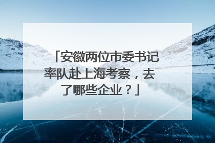 安徽两位市委书记率队赴上海考察，去了哪些企业？
