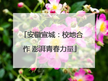安徽宣城：校地合作 澎湃青春力量