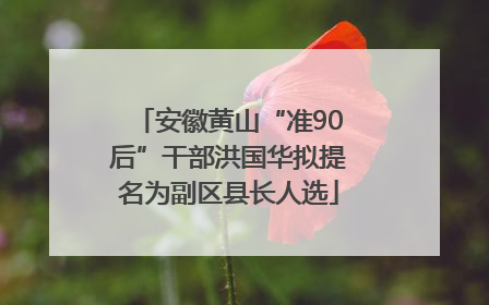 安徽黄山“准90后”干部洪国华拟提名为副区县长人选