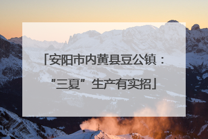 安阳市内黄县豆公镇：“三夏”生产有实招