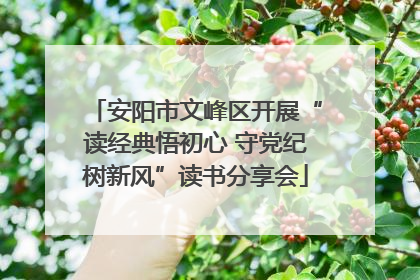 安阳市文峰区开展“读经典悟初心 守党纪树新风”读书分享会
