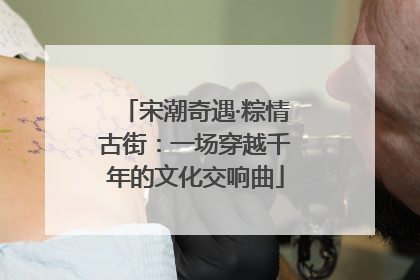 宋潮奇遇·粽情古街：一场穿越千年的文化交响曲