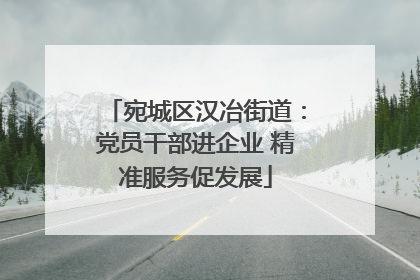宛城区汉冶街道：党员干部进企业 精准服务促发展