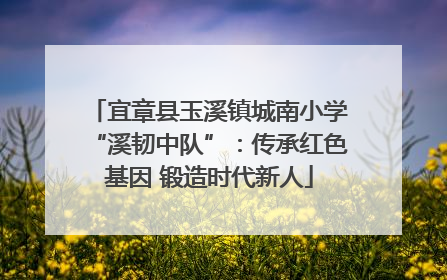 宜章县玉溪镇城南小学“溪韧中队”：传承红色基因 锻造时代新人