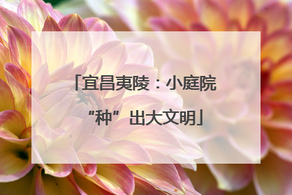 宜昌夷陵：小庭院“种”出大文明