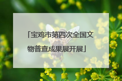 宝鸡市第四次全国文物普查成果展开展