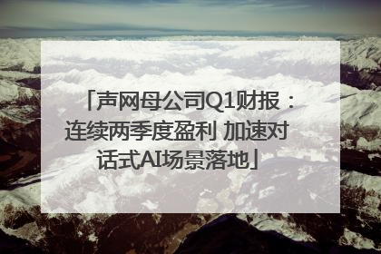 声网母公司Q1财报：连续两季度盈利 加速对话式AI场景落地
