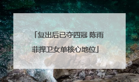 复出后已夺四冠 陈雨菲捍卫女单核心地位