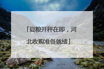 夏粮开秤在即，河北收购准备就绪