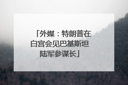 外媒：特朗普在白宫会见巴基斯坦陆军参谋长