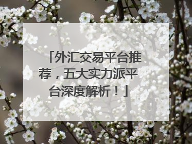 外汇交易平台推荐，五大实力派平台深度解析！