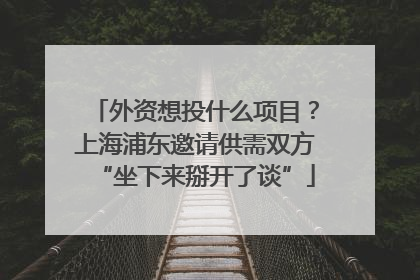 外资想投什么项目？上海浦东邀请供需双方“坐下来掰开了谈”