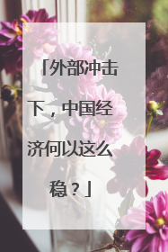 外部冲击下，中国经济何以这么稳？
