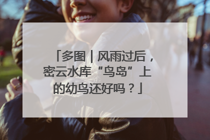 多图｜风雨过后，密云水库“鸟岛”上的幼鸟还好吗？