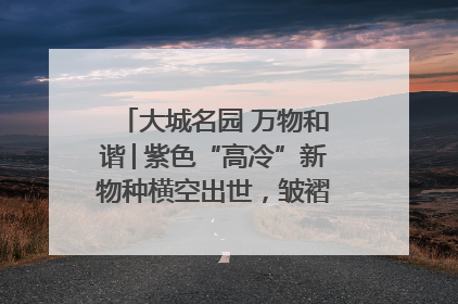大城名园 万物和谐│紫色“高冷”新物种横空出世，皱褶叶片暗藏进化密码