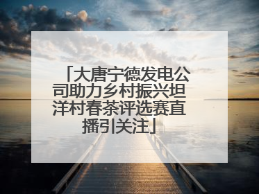 大唐宁德发电公司助力乡村振兴坦洋村春茶评选赛直播引关注