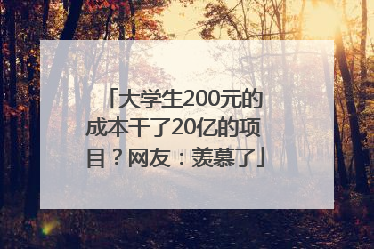 大学生200元的成本干了20亿的项目？网友：羡慕了