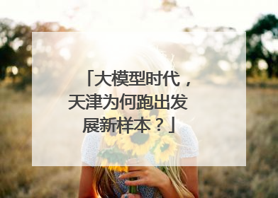 大模型时代，天津为何跑出发展新样本？