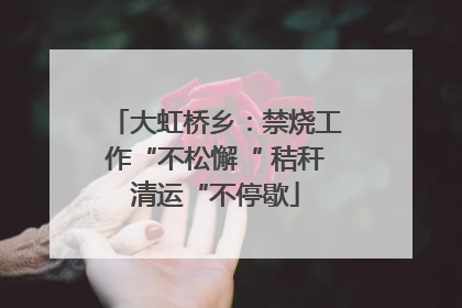 大虹桥乡：禁烧工作“不松懈“ 秸秆清运“不停歇
