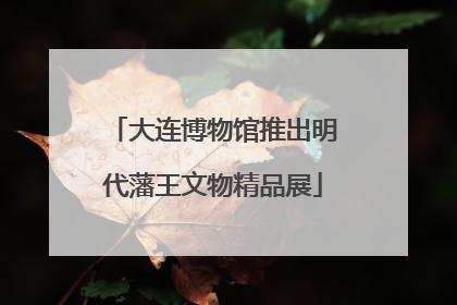 大连博物馆推出明代藩王文物精品展