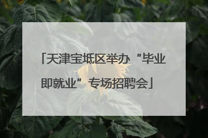 天津宝坻区举办“毕业即就业”专场招聘会