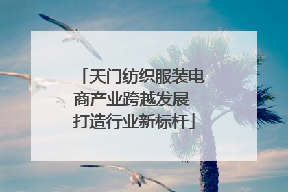 天门纺织服装电商产业跨越发展 打造行业新标杆