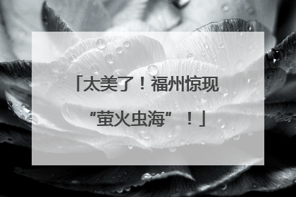 太美了！福州惊现“萤火虫海”！