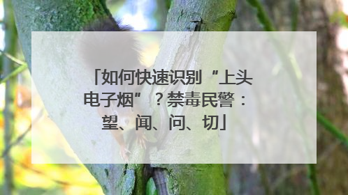 如何快速识别“上头电子烟”？禁毒民警：望、闻、问、切