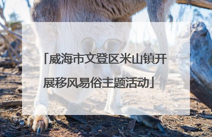 威海市文登区米山镇开展移风易俗主题活动