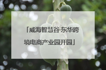 威海智慧谷·东华跨境电商产业园开园