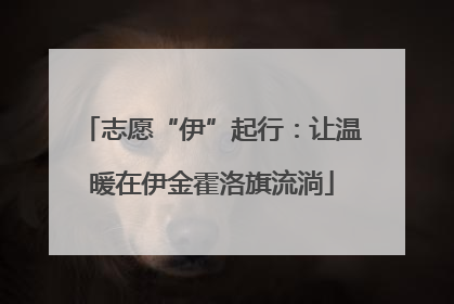 志愿“伊”起行：让温暖在伊金霍洛旗流淌