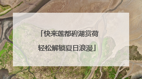 快来莲都碧湖赏荷 轻松解锁夏日浪漫
