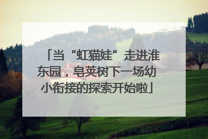 当“虹猫娃”走进淮东园，皂荚树下一场幼小衔接的探索开始啦