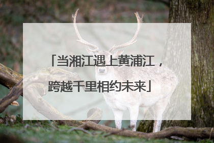 当湘江遇上黄浦江，跨越千里相约未来