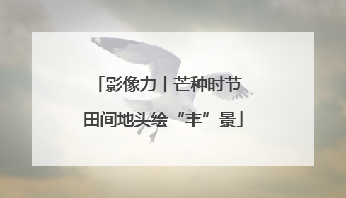 影像力丨芒种时节 田间地头绘“丰”景
