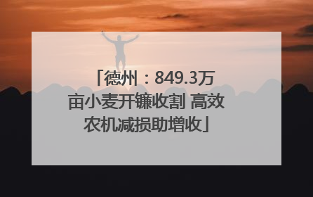 德州：849.3万亩小麦开镰收割 高效农机减损助增收