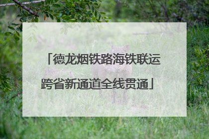 德龙烟铁路海铁联运跨省新通道全线贯通
