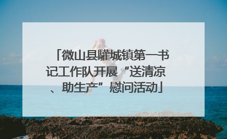 微山县驩城镇第一书记工作队开展“送清凉、助生产”慰问活动