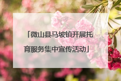 微山县马坡镇开展托育服务集中宣传活动