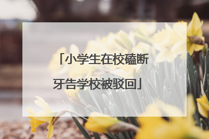 小学生在校磕断牙告学校被驳回