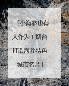 小海参也有大作为！烟台打造海参特色城市名片