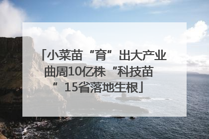 小菜苗“育”出大产业 曲周10亿株“科技苗”15省落地生根