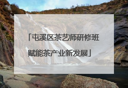 屯溪区茶艺师研修班赋能茶产业新发展