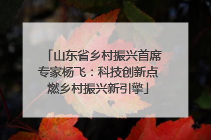 山东省乡村振兴首席专家杨飞：科技创新点燃乡村振兴新引擎