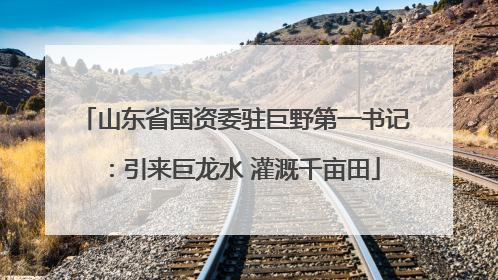 山东省国资委驻巨野第一书记：引来巨龙水 灌溉千亩田