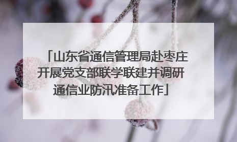 山东省通信管理局赴枣庄开展党支部联学联建并调研通信业防汛准备工作