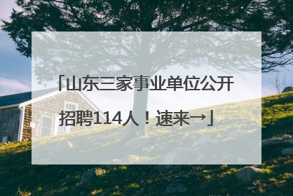 山东三家事业单位公开招聘114人！速来→
