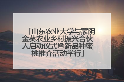 山东农业大学与蒙阴金葵农业乡村振兴合伙人启动仪式暨新品种蜜桃推介活动举行