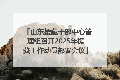 山东援藏干部中心管理组召开2025年援藏工作动员部署会议