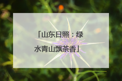 山东日照：绿水青山飘茶香